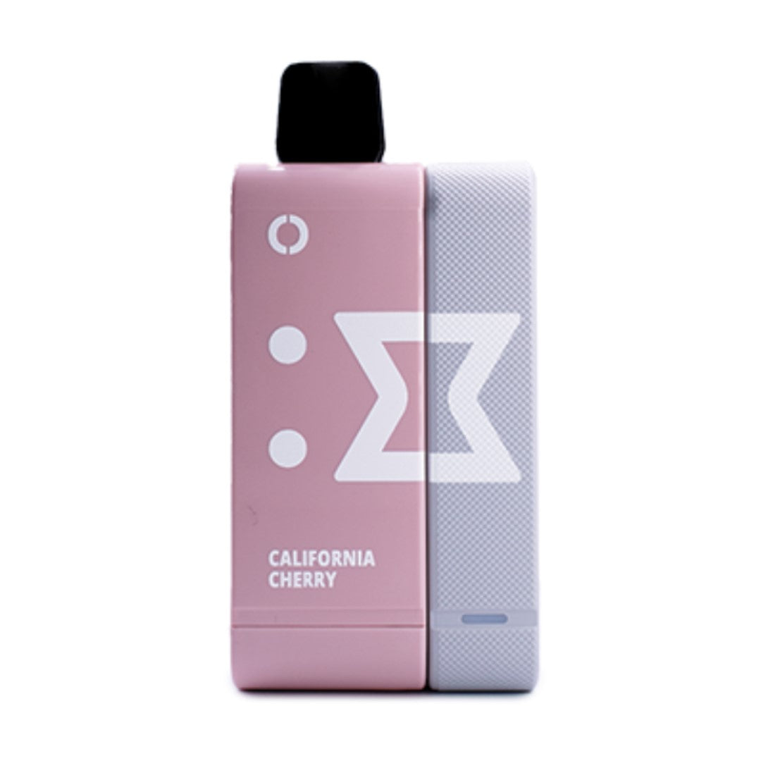 ElfBar EW9000 Puffs Rechargeable Vape Pod 50mg with Power Bank