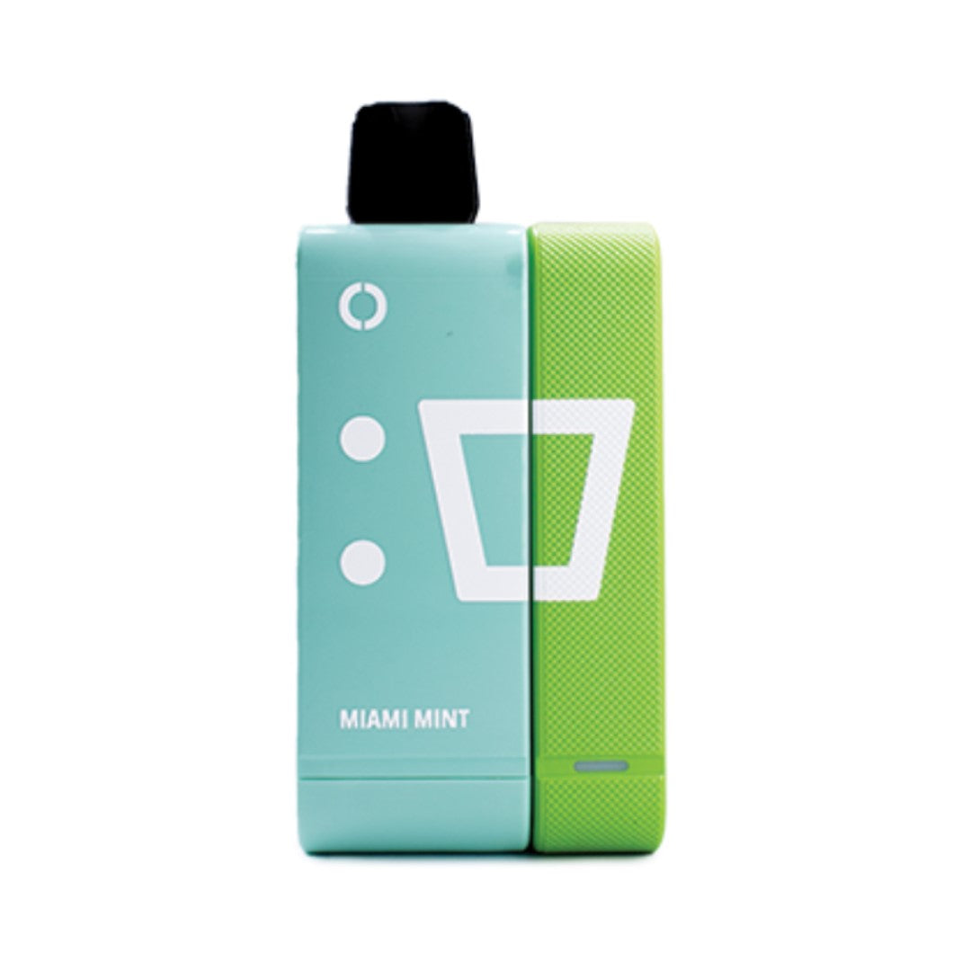 ElfBar EW9000 Puffs Rechargeable Vape Pod 50mg with Power Bank