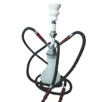 Junior Hookah - 2 Pipe