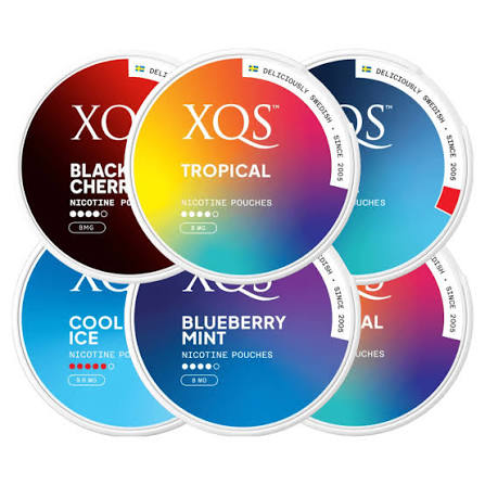 XQS Nicotine Pouches - 1 Tin (20 Pouches)