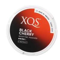 XQS Nicotine Pouches - 1 Tin (20 Pouches)