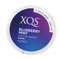 XQS Nicotine Pouches - 1 Tin (20 Pouches)