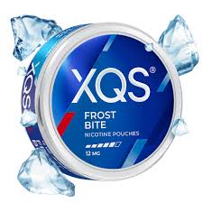 XQS Nicotine Pouches - 1 Tin (20 Pouches)